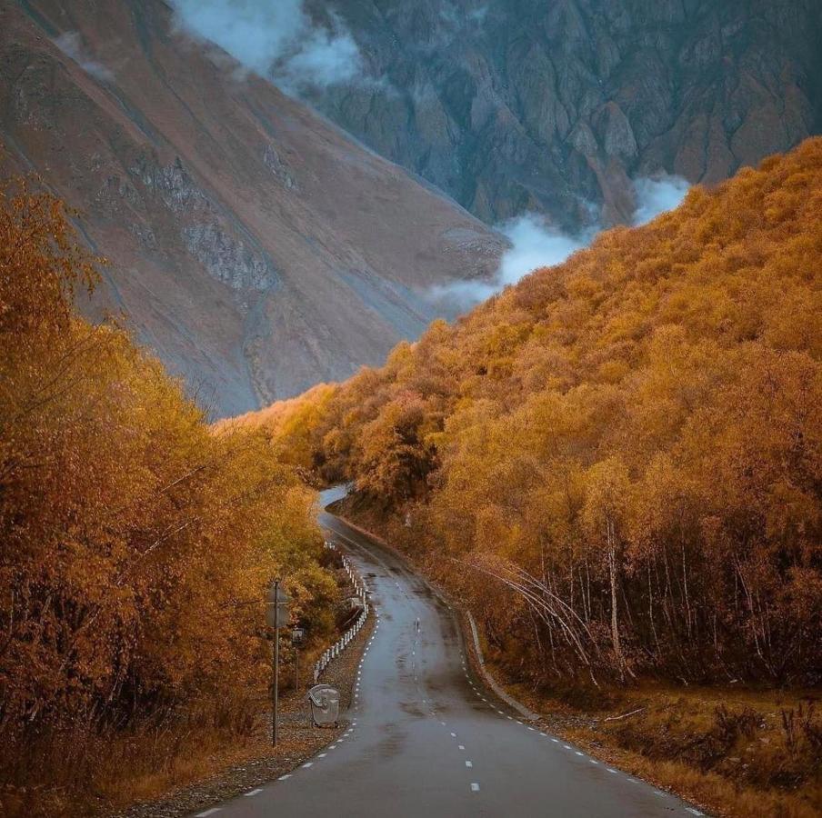 Hotel Axien Kazbegi Zewnętrze zdjęcie