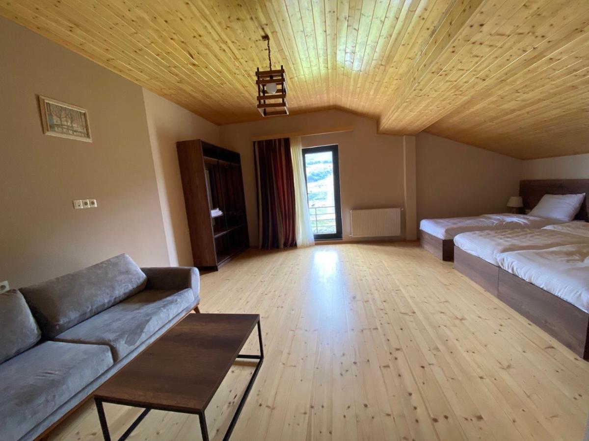 Hotel Axien Kazbegi Zewnętrze zdjęcie