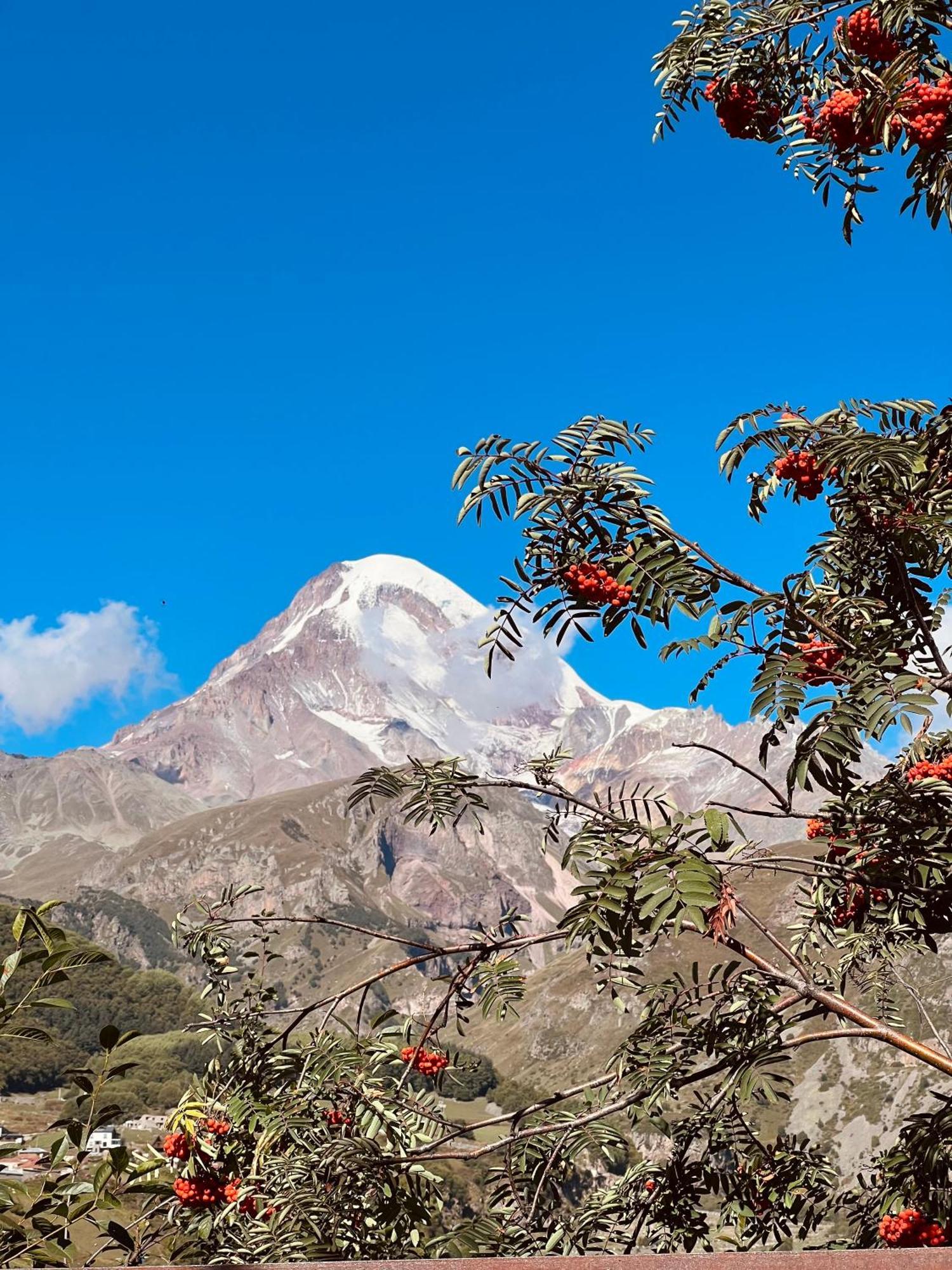 Hotel Axien Kazbegi Zewnętrze zdjęcie